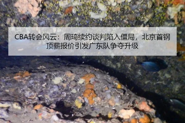 CBA转会风云：周琦续约谈判陷入僵局，北京首钢顶薪报价引发广东队争夺升级